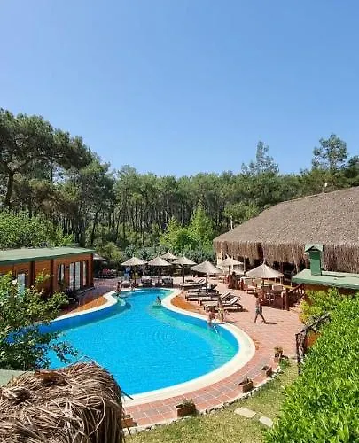 Olympos Village Relaxury Hotel photo