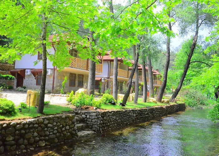 Eco Family Park Hotel Beskonak photo